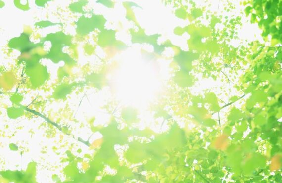 和歌山県でのお仏壇の引っ越しは阪本におまかせください
